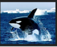 /album/galleria-fotografica/screenshot-2014-04-21-19-36-43-1-png/